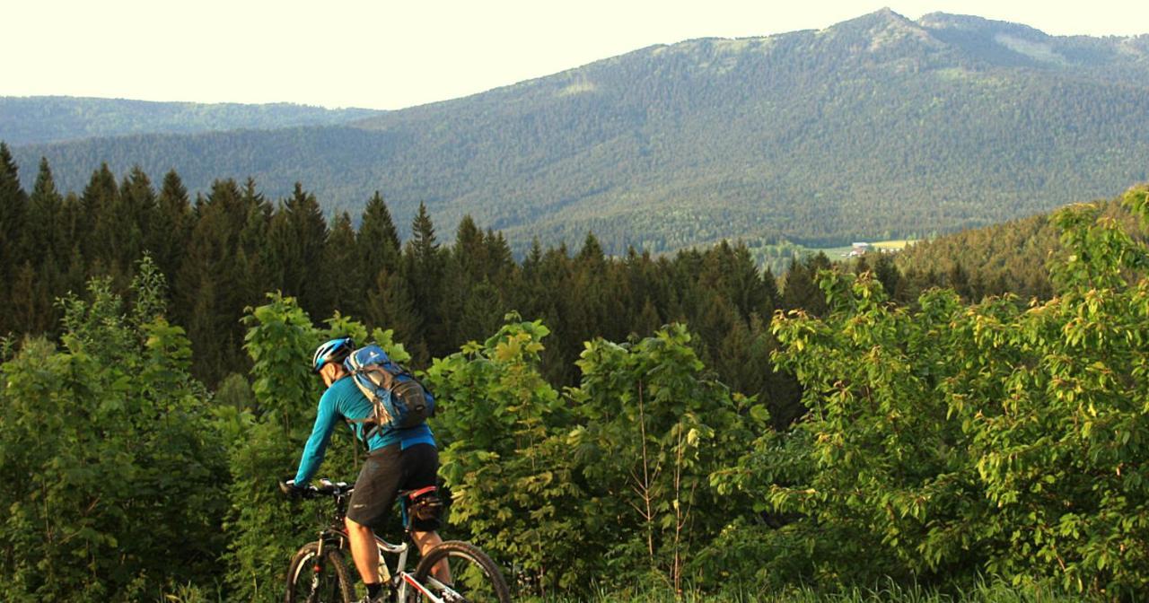 Garnihotel Zur Linde - Bayerischer Wald - Aktivcard Mit 154 Kostenfreien Leistungen - Kostenloser Parkplatz Lohberg Buitenkant foto